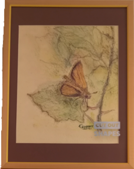 Picture of Schmetterling