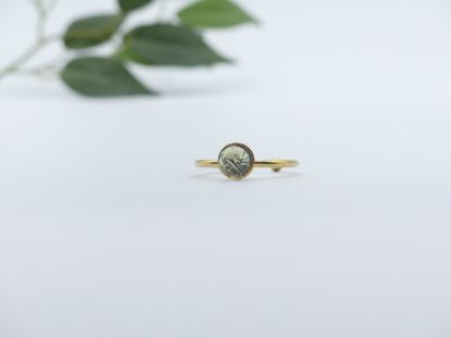 Bild von Ring - Kollektion "Eingefasster Glanz" - gold