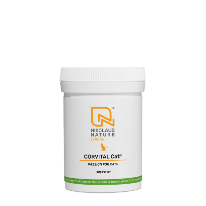 Bild von CORVITAL Cat® 40g Pulver