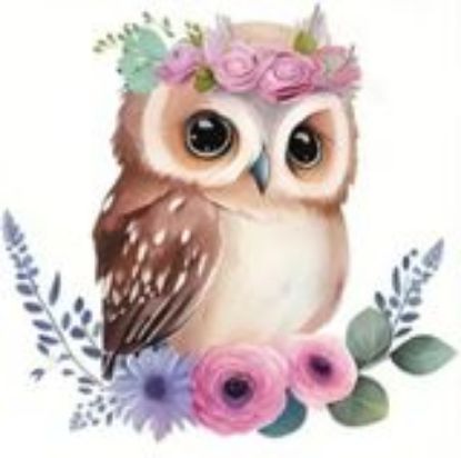 Picture of Eule