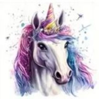 Picture of Einhorn7