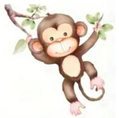 Bild von Affe